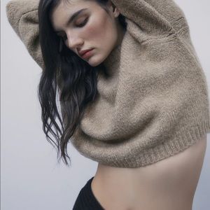 Zara Crop sweater